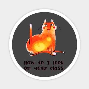 How do I look on yoga class funny yoga and cat drawing Magnet